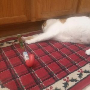 Meet your Posher, Hunter